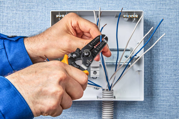 Best Electrical Panel Upgrades  in Mundelein, IL